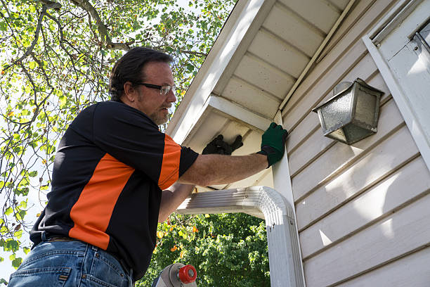 Affordable siding repair and maintenance services in Randleman, NC